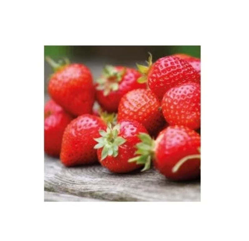Erdbeere Aromapaste (120g)