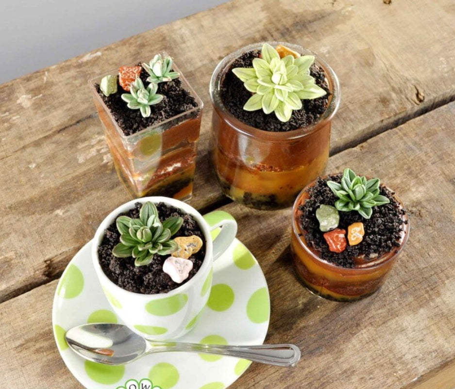 Ultimate Succulents Silikon Flower Pro
